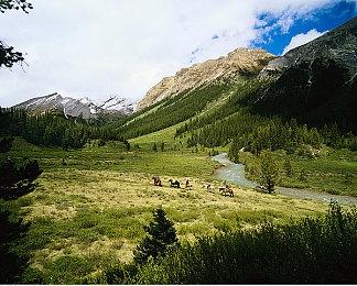 “SEGA秋季促销”火热进行中 《真·女神转生Ⅴ Vengeance》及《圣兽之王》首次参与促销！