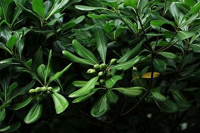 《轮世界》多平台正式发售 自行车开放世界探索